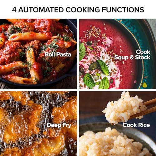 Upgraded Induction Cooktop with Patented Digital Temp Probe