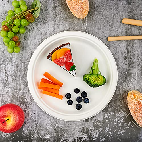 150 Pack Compostable Disposable Paper Plates 10.25 inch Super Strong Paper Plates 100% Bagasse Natural Biodegradable Eco (150 Count)