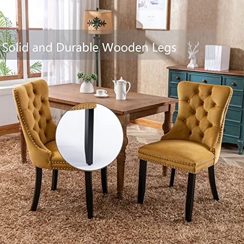 Gold Velvet Dining Chairs Set of 4 (4 Count)