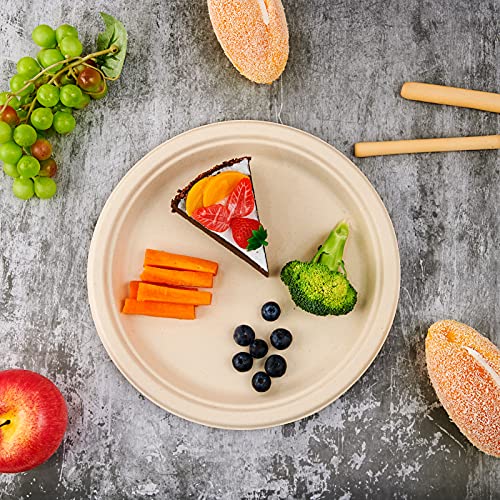 150 Pack Compostable Disposable Paper Plates 10 inch Super Strong 100% Bagasse Natural Biodegradable Eco (150 Count)
