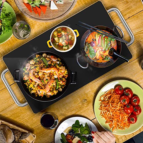 Large Electric Warming Tray
