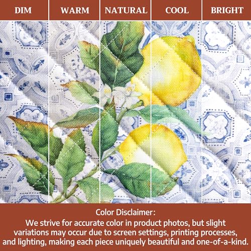 Pot Holders 100% Cotton Potholders (2 Count)