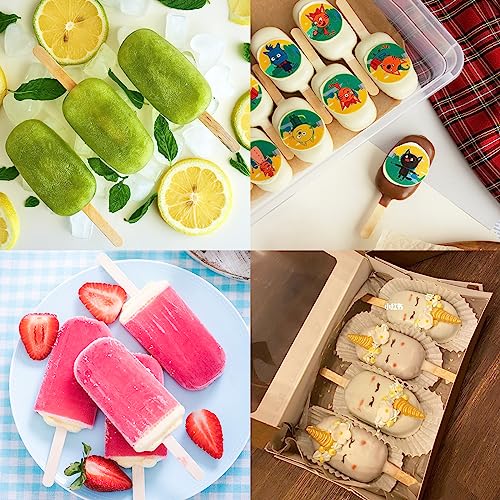 3 Set Popsicles Molds with Lids and 100 Pcs Wooden Popsicles Sticks (3 Count)