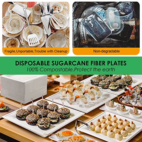Compostable Square Paper Plates 10 Inch 100 Pack Disposable Plates (100 Count)