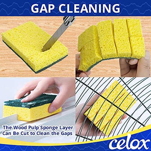 24 Pack Dish Sponge for Kitchen (24 Count)