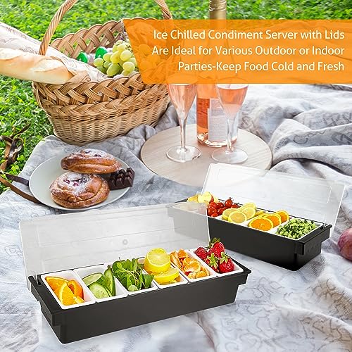 Ice Chilled Condiment Caddy with 6 Removable Trays and Lids (45.8562 Ounce)