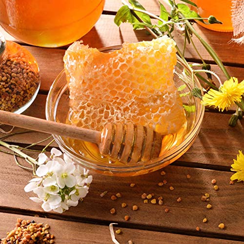12 Pack Mini Wooden Honey Dipper Sticks (12 Count)