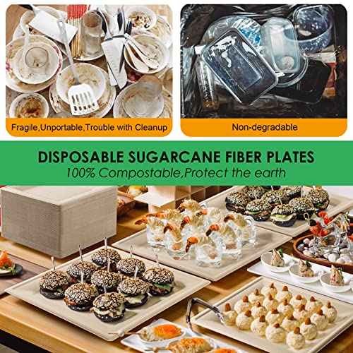 Compostable Square Paper Plates 8 Inch 100 Pack Disposable Plates (100 Count)