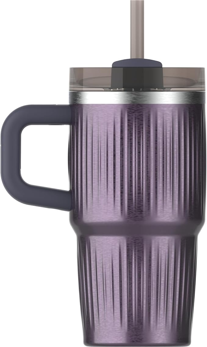 STANLEY Quencher H2.0 Tumbler with Handle and Straw 20 oz | Flowstate 3-Position Lid | Cup Holder Compatible for Travel | Insulated Stainless Steel Cup | BPA-Free | Fluted Wisteria Shine