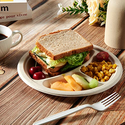 Compostable Paper Plates (125 Count)