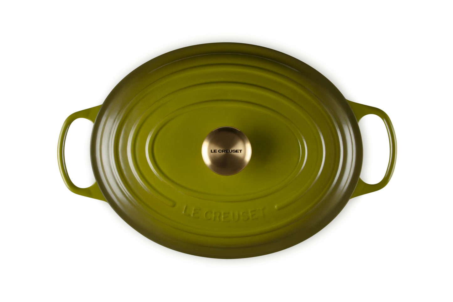 Enameled Cast Iron Oval Dutch Oven