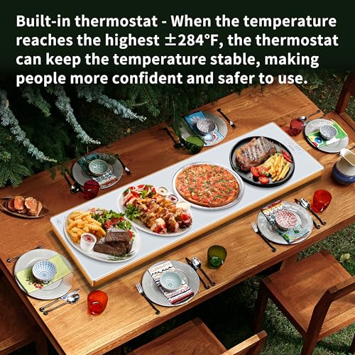 Electric Warming Tray