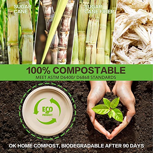 100% Compostable Plates 10 Inch 125 Pack Paper Plates Heavy (125 Count)