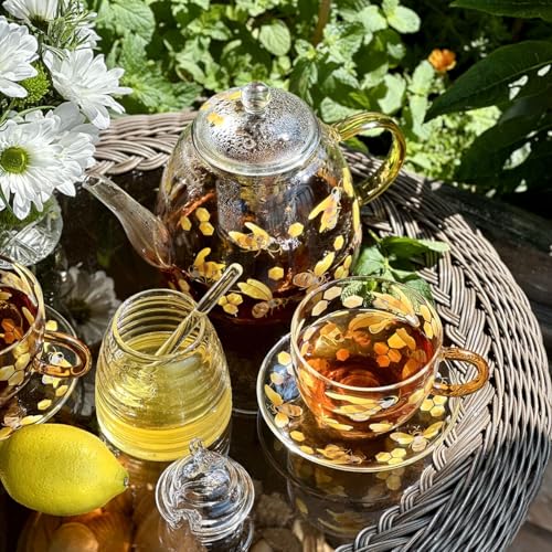 Heat Resistant Glass Teapot with Infuser