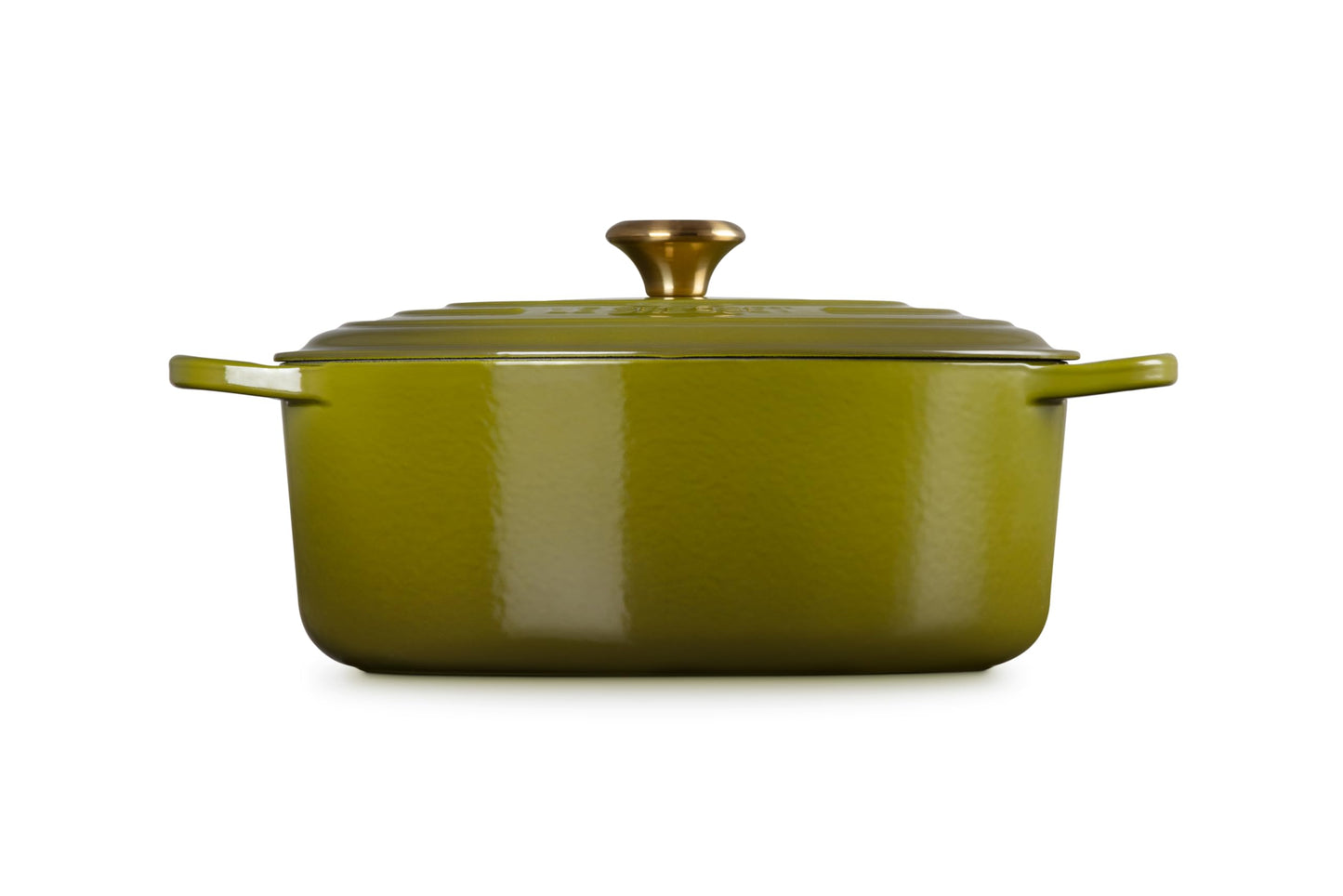 Enameled Cast Iron Oval Dutch Oven