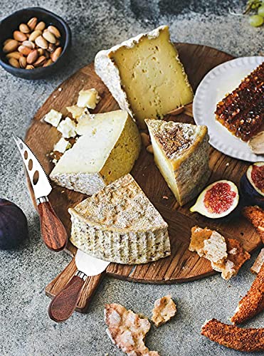 Exquisite 6 Piece Cheese Knives Set (6 Count)