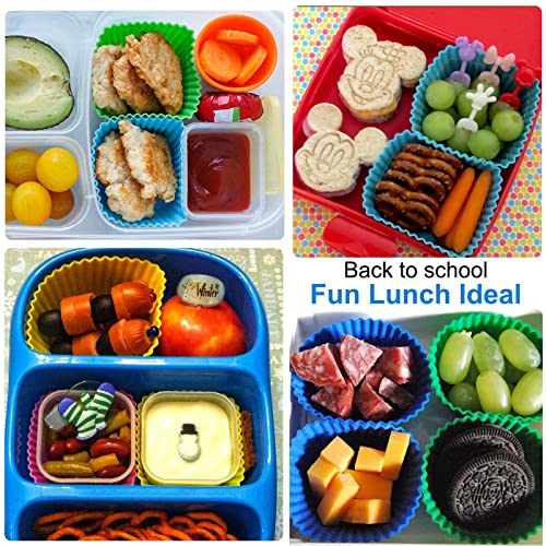 40 Pcs Silicone Lunch Box Dividers (40 Count)