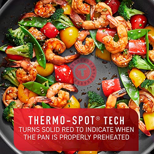 Platinum Nonstick Jumbo Cooker 5 Quart Induction Oven Broiler Safe 500F Cookware