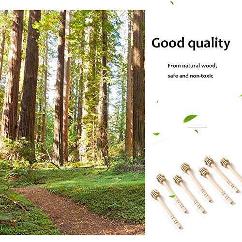 12 Pack Mini Wooden Honey Dipper Sticks (12 Count)