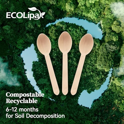 300 Count Compostable Wooden Disposable Spoons for Party