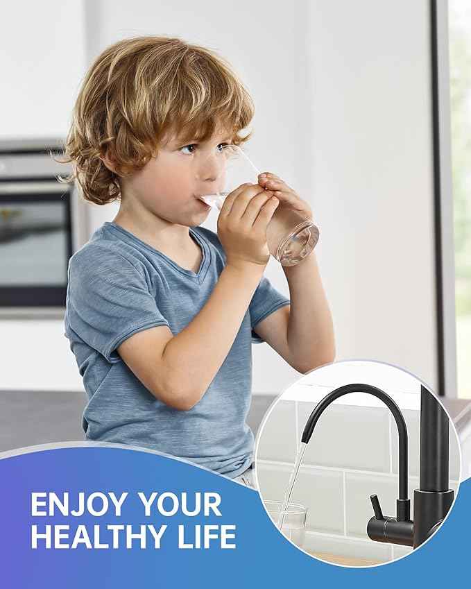 Fapully Commercial 3 Way Kitchen Faucets with Pull Down Sprayer and Water Filler,3 in 1 Kitchen Sink Faucet with Drinking Water Faucet Matte Black