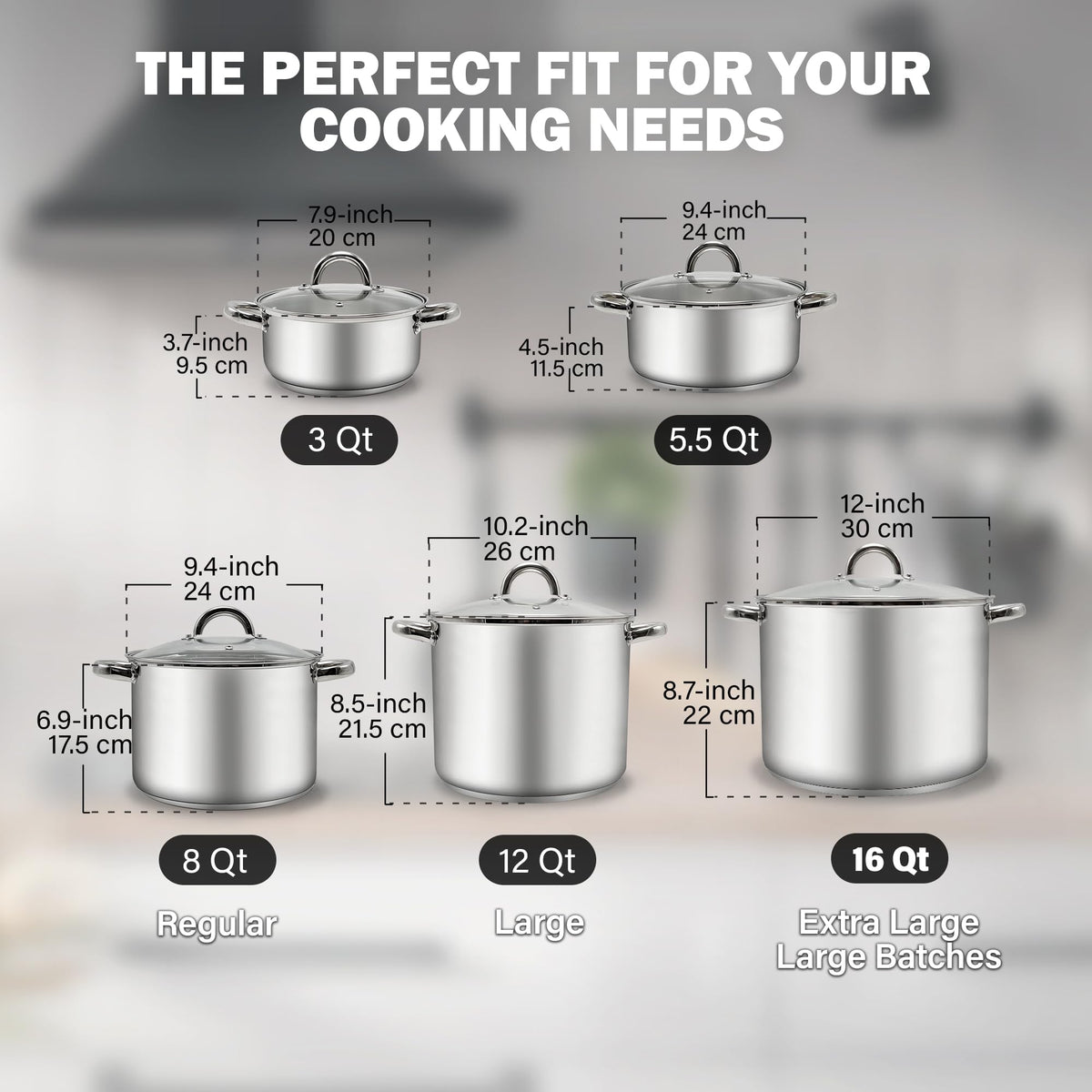 Basics 8 Quart Stainless Steel Stock Pot with Lid