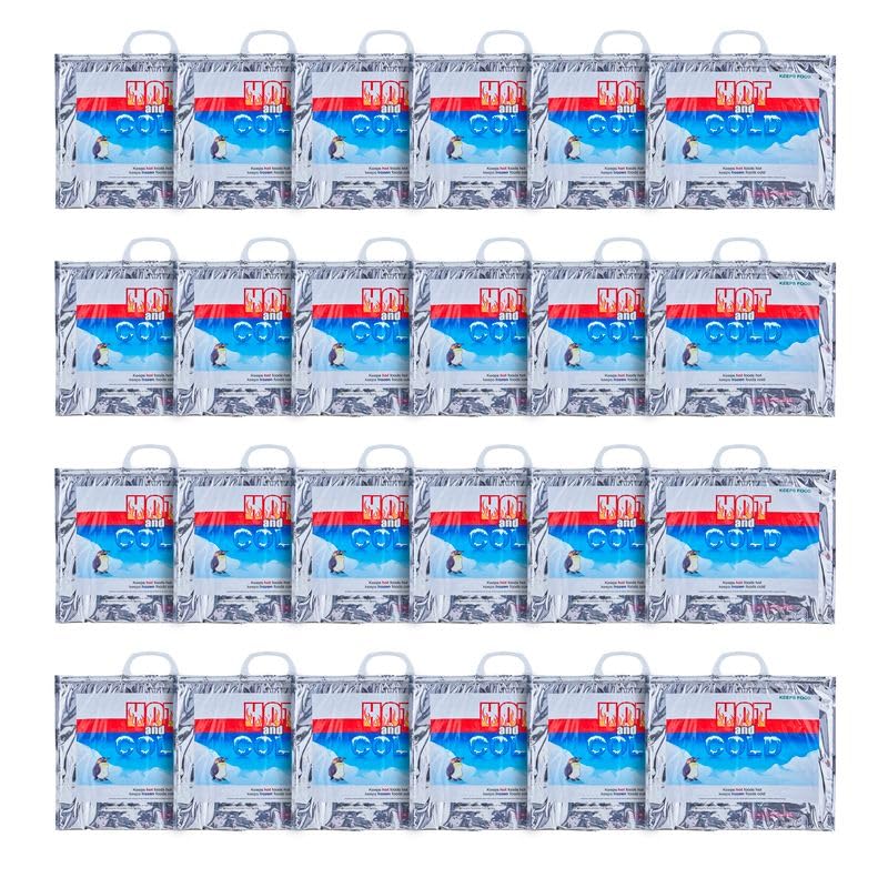 Hot and Cold Insulated Bags for Food Delivery (24 Count)