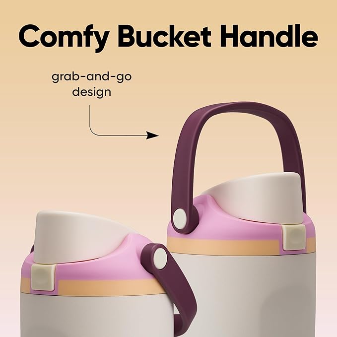 Owala FreeSip Sway Insulated Stainless Steel Water Bottle with Two-Way Spout, Built-In Straw and Bucket Handle, Made for Travel, School, and Sports, 40oz, BPA Free, Leak Proof, Daybreak