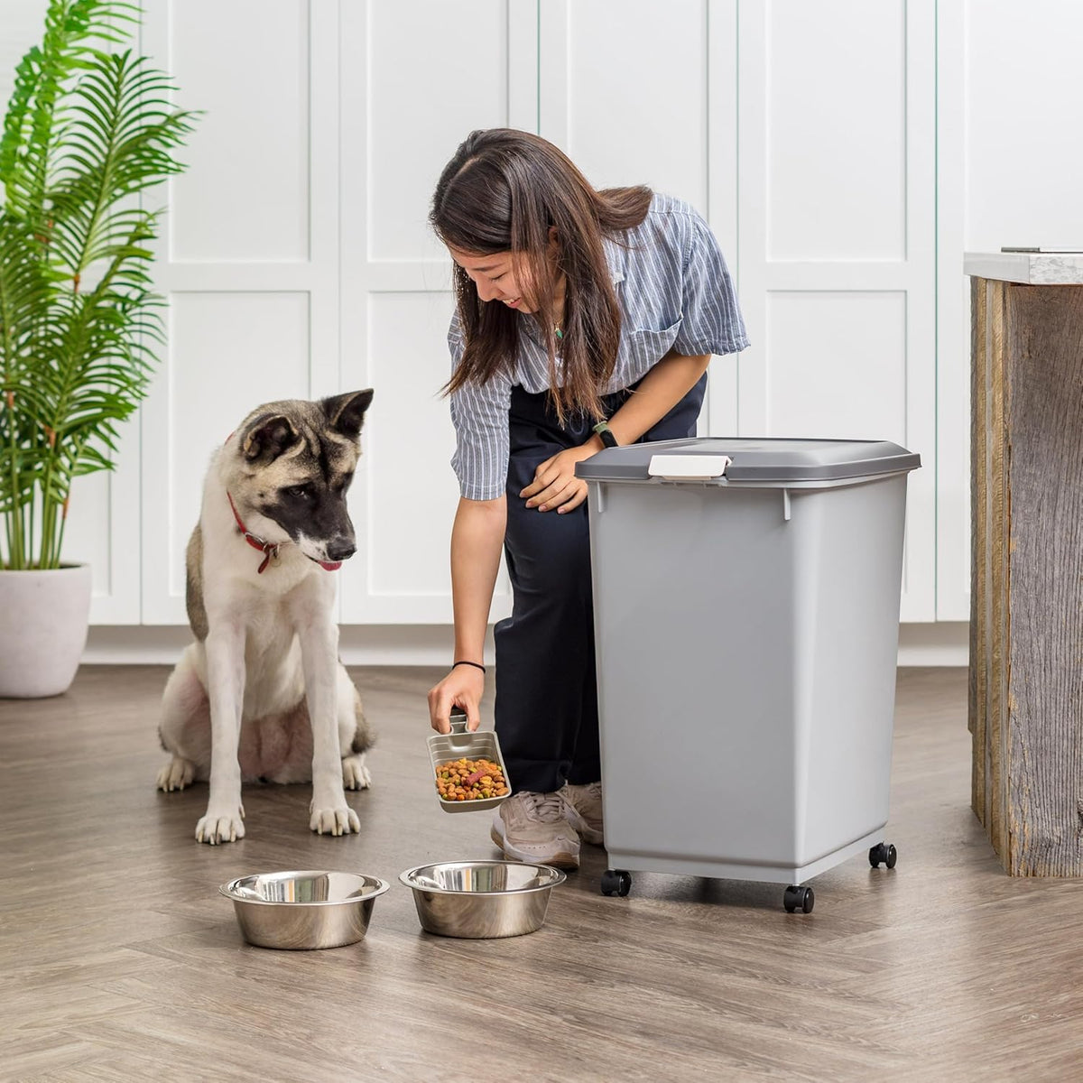 Dog Food Storage Container
