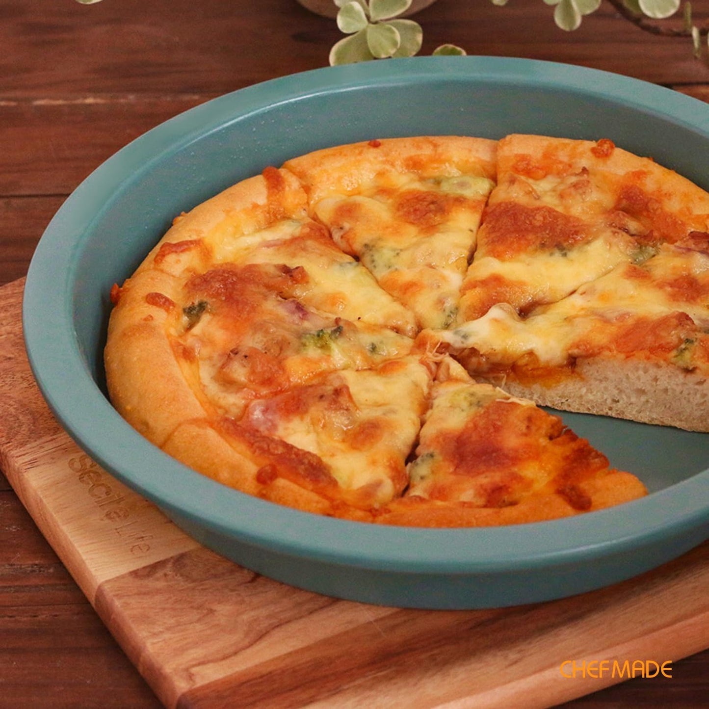 CHEFMADE Round Cake Pan, 9-Inch Non-Stick Pizza Pan and Pie Bakeware for Oven Baking (Green) - Culinary Roots
