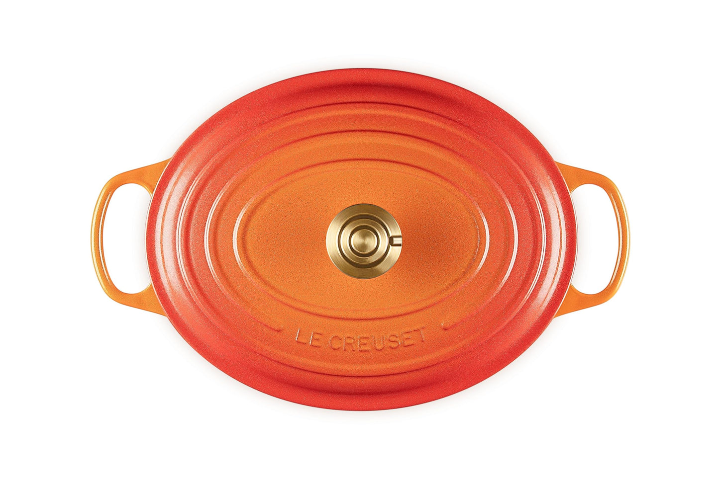 Enameled Cast Iron Oval Dutch Oven