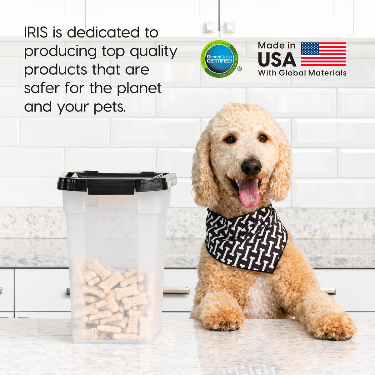 Dog Food Storage Container