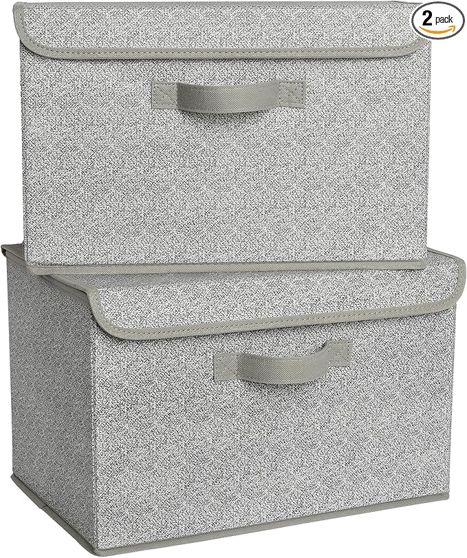 GRANNY SAYS Closet Storage Bins, Storage Boxes with Lids, Clothes Organizing Bins, Lidded Baskets for Toys, Clothing, Gray, Extra Large, 2-Pack